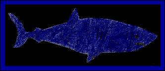 Bryan Shark.GIF (7049 bytes)