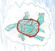 Ecoturtle.tif (70532 bytes)